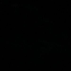 Meet your Posher, Allyson